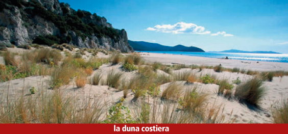 Follonica - Il cancello in ghisa